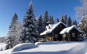 Domaine le Bostonnais - Le Village en Bois Rond